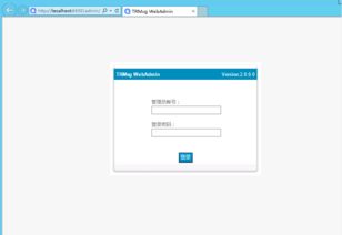 及時雨TRMSG通訊系統(tǒng)界面預覽與信息系統(tǒng)集成服務