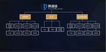 500萬美元A輪融資背后的商業(yè)藍圖 TAC溯源鏈與信息系統(tǒng)集成服務的深度融合